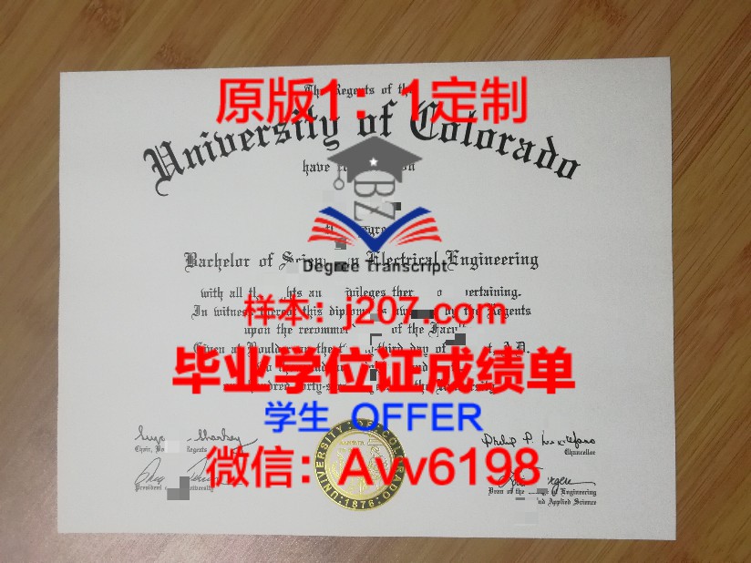 加拿大约克大学毕业证书:开启全球职业道路的金钥匙