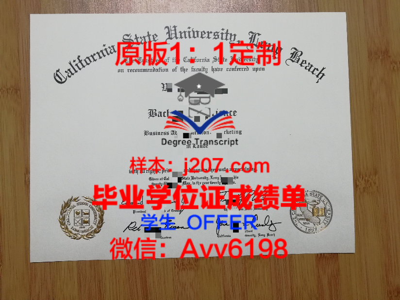 YNU学位证定制:彰显个性,铭记青春