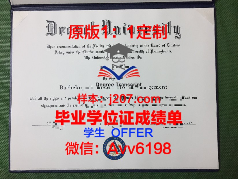 文学博士毕业服:穿越时光的学术荣耀