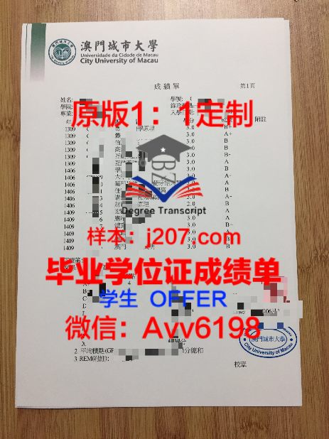 希隆成绩单:揭示成长轨迹的宝藏