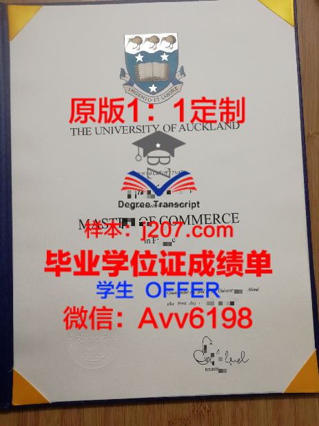 哈尔滨理工大学的博士教育:培养未来领军人物的摇篮