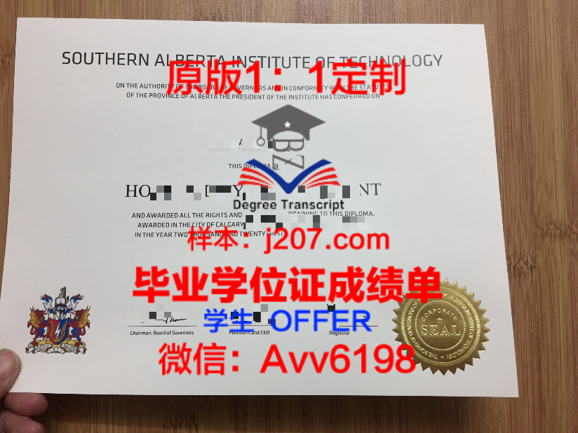 梅隆家族:美国金融帝国的传奇世家