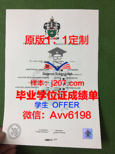 博士进正高,你需要准备几年?