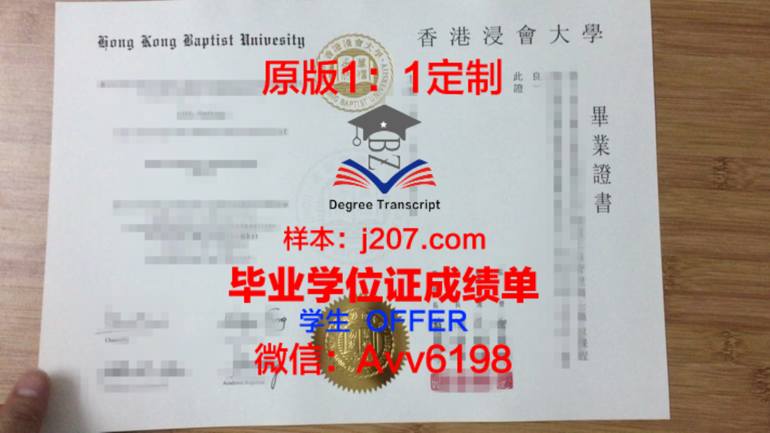 巴黎地球物理学院学位证:一份跨越时空的荣誉