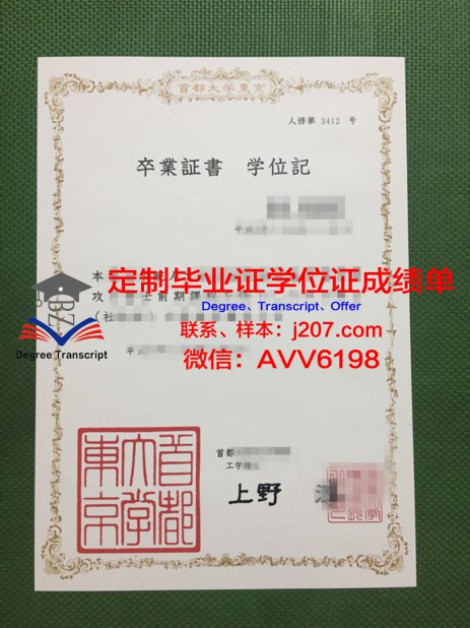 红砖毕业证定制:个性化教育的探索与实践