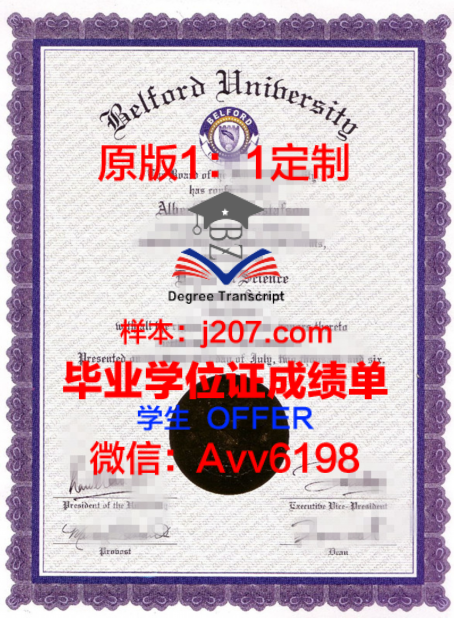 SF艺大学位文凭定制:艺术与学术的融合之作