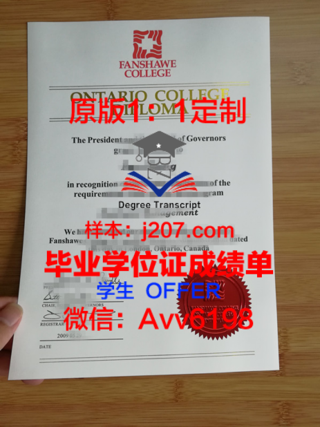 TG大成绩单:记录辉煌历程,展现中国力量