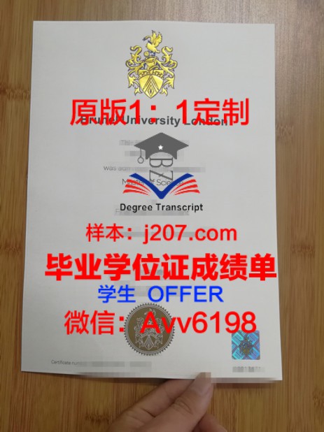 布莱京理工学院毕业证成绩单:一张纸背后的故事与价值