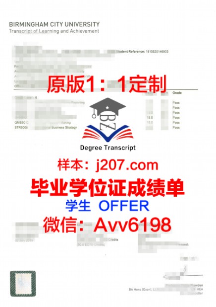 南工大毕业证书样本图片:承载荣誉与梦想的纸笔传奇