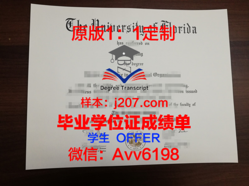 白俄罗斯国立艺术学院成绩单:一份国际艺术教育的璀璨证书