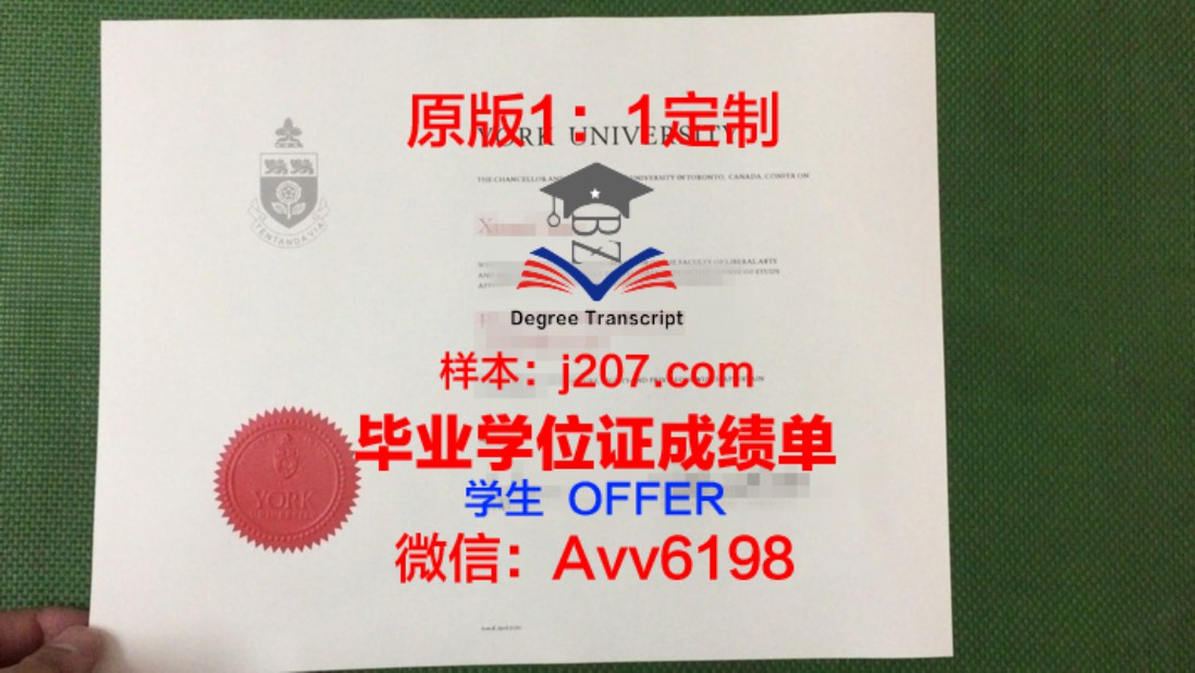 印理德分学位成绩单定制,打造个性化学术名片