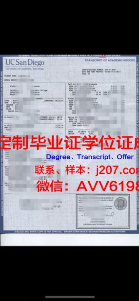 国际短期大学学位成绩单定制：趋势与注意事项