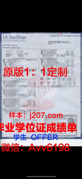 国际情报商务专门学校学位证成绩单——跨文化商务人才培养的“成绩单”