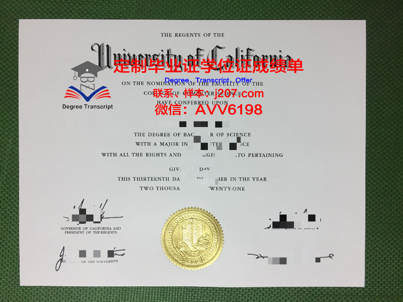 国际科技大学硕士（研究生）毕业证 Twintech International University College of Technology diploma