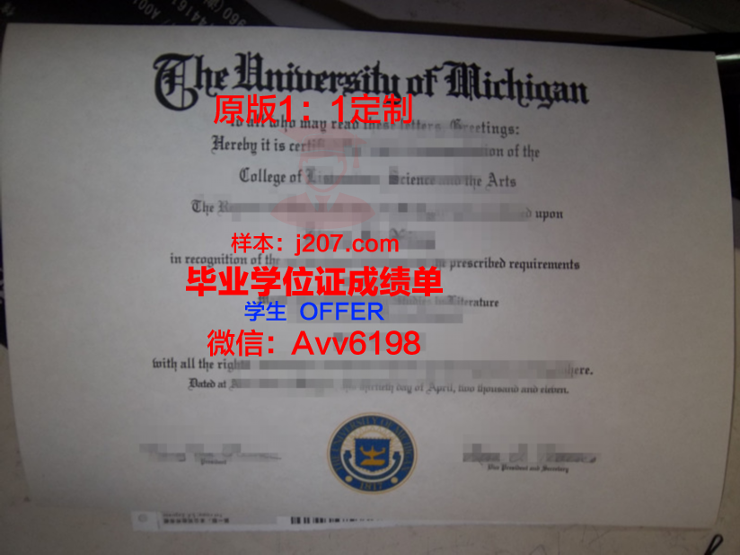 图卢兹第一大学硕士毕业证:开启国际化职业大门的金钥匙