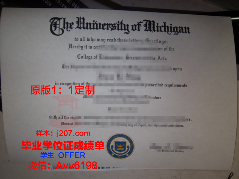 图卢兹第二大学毕业证是什么样呢(图卢兹第二大学留学要求)