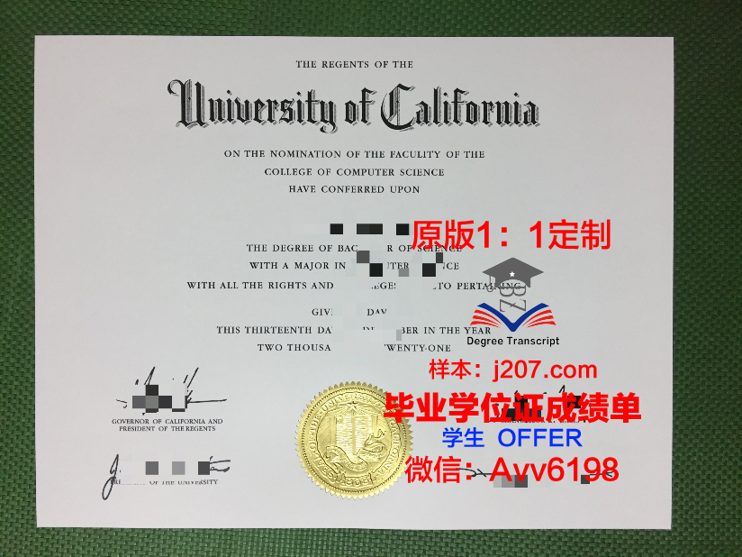 图卢兹第一大学硕士毕业证:开启国际化职业大门的金钥匙