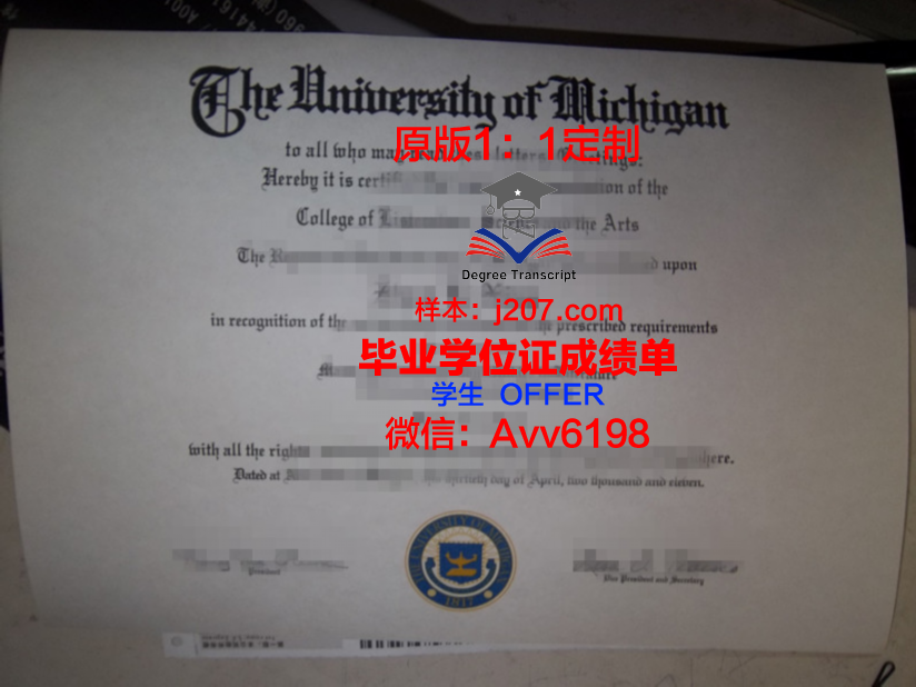 图卢兹第二大学毕业证是什么颜色(图卢兹二大申请条件)