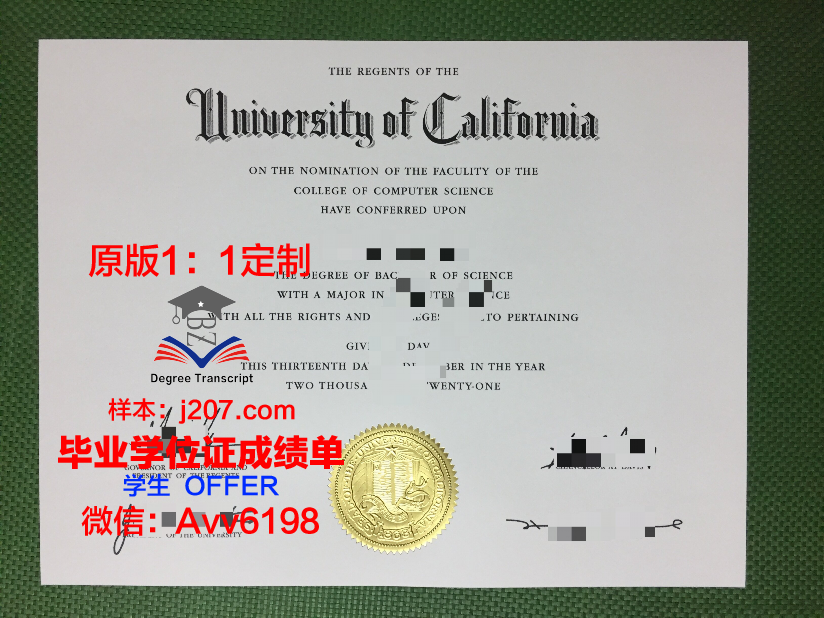 国际大学硕士毕业证:开启全球职业生涯的钥匙