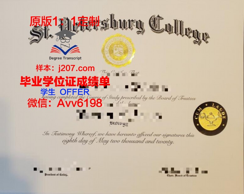 俄罗斯联邦卫生部圣彼得堡国立儿科医科大学diploma证书(俄罗斯圣彼得堡幼儿园)