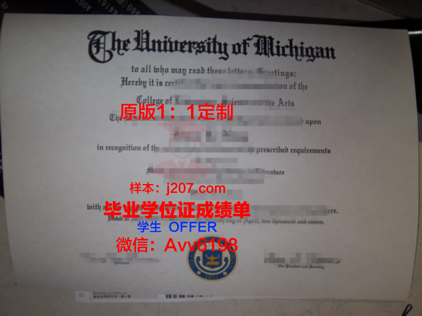 国际伯奇大学毕业证什么样子(伯奇学校是什么级别)