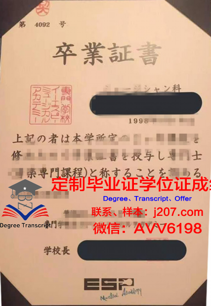 国际双业务专门学校毕业证模板(国际双学位项目是什么)