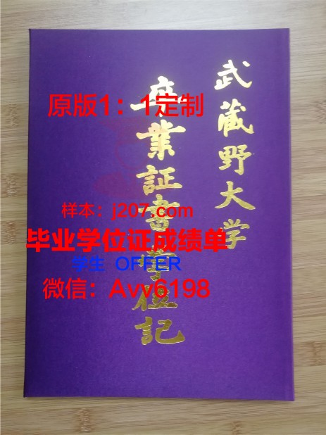国际信息处理科学学院毕业证壳子(国际信息化管理中心)