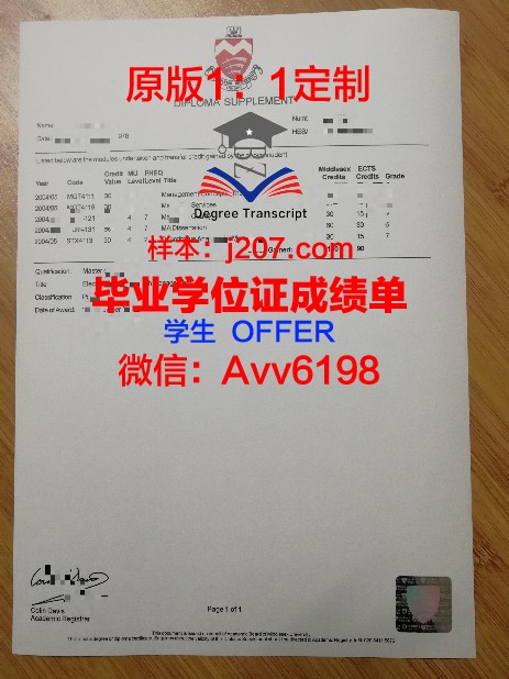 国际设计与服务学院毕业证书原件(国外设计学院毕业展)