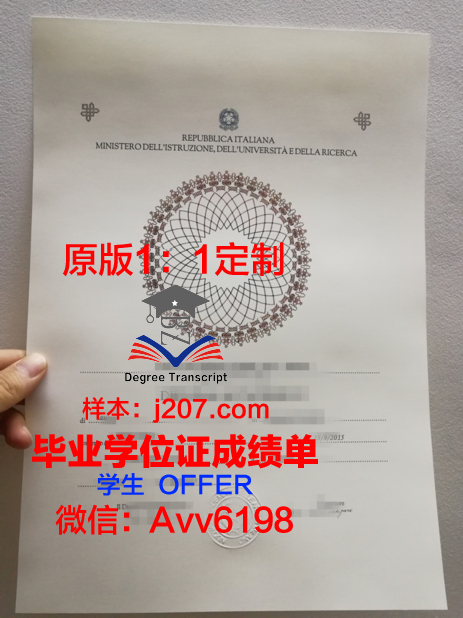 国际商业与技术学院学生卡(国际商务学院logo)