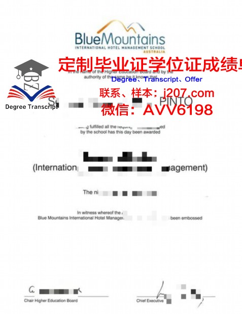 国际管理学院LINKdiploma证书(internationalschoolofmanagement)
