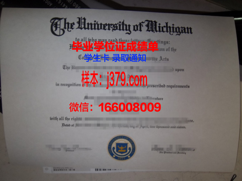 塔理工博士毕业证：一张纸背后的故事与价值