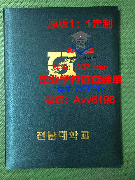 图卢兹第三大学毕业证壳子(图卢兹第三大学科技学院)