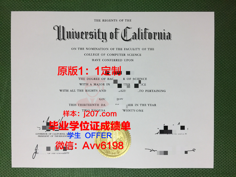 国际经济与法律学院硕士毕业证：开启全球化时代的职业新篇章