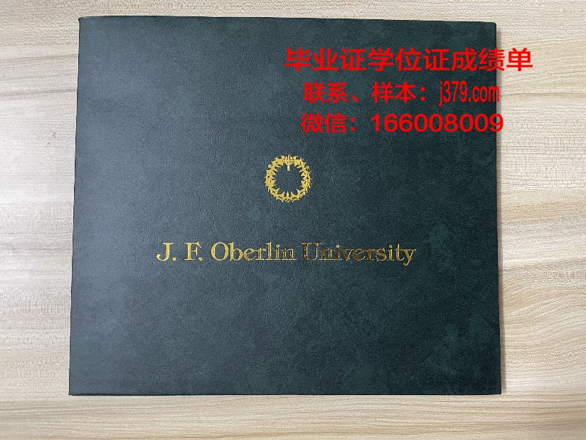 图宾根大学研究生毕业证书(图宾根大学博士申请条件)