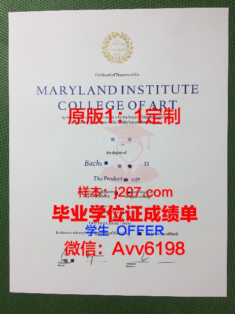 国立高等装饰艺术学院硕士毕业证:承载荣誉与梦想的证书