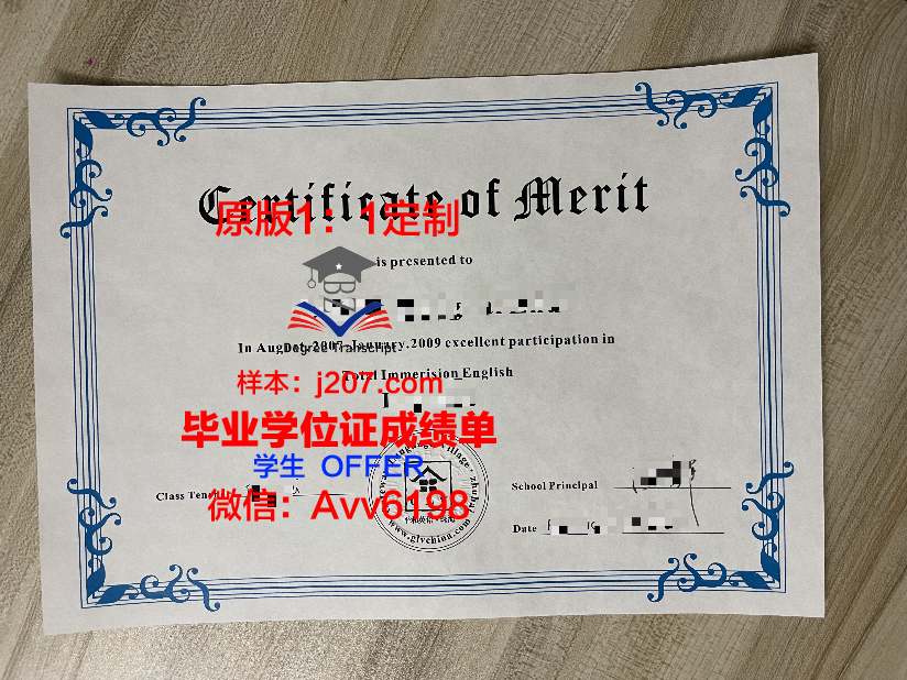 俄罗斯科学院合成高分子材料研究所学历证书