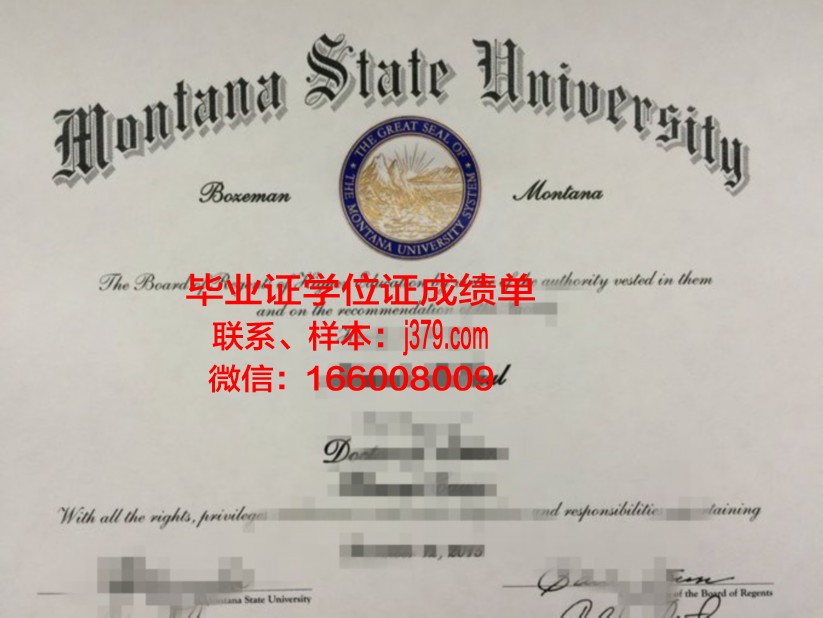 国际佛教学大学院大学博士毕业证(佛学博士毕业干嘛)