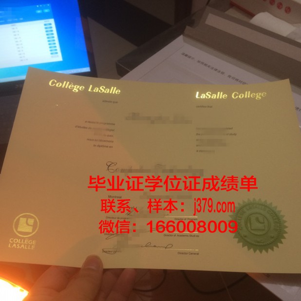 国际法律与经济学院毕业证是什么样子(国际金融法律学院毕业生去向)