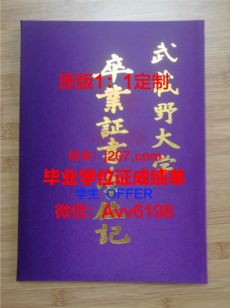 图卢兹第三大学毕业证壳子(图卢兹第三大学科技学院)