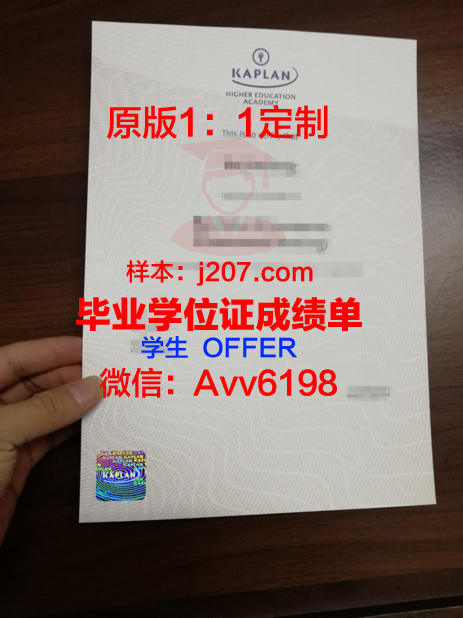 国际人文经济学院文凭(人文与国际学院)