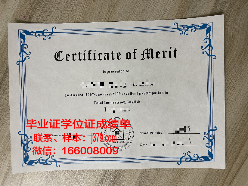 塞伦大学毕业证书图片模板(塞伦大学毕业证书图片模板大全)