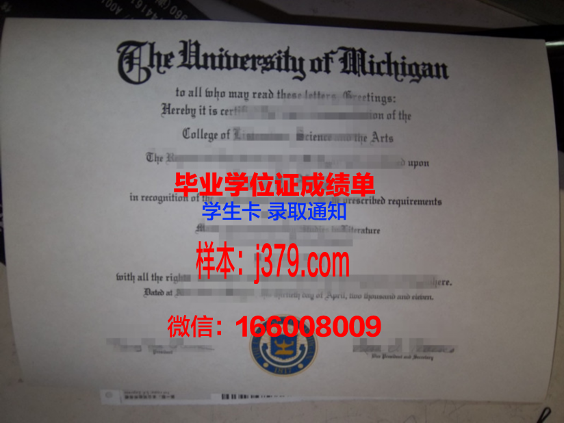路德维希港应用技术大学本科毕业证:一张通往未来的通行证