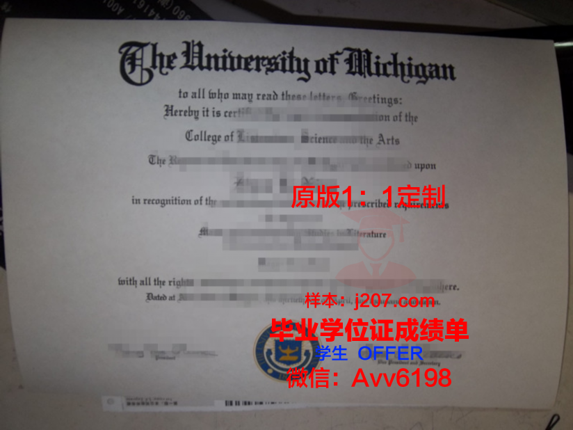 国立马德普拉塔大学毕业证成绩单——记录辉煌成就，开启美好未来