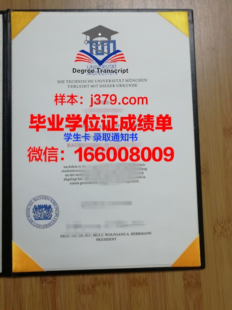 慕尼黑工业大学毕业文凭