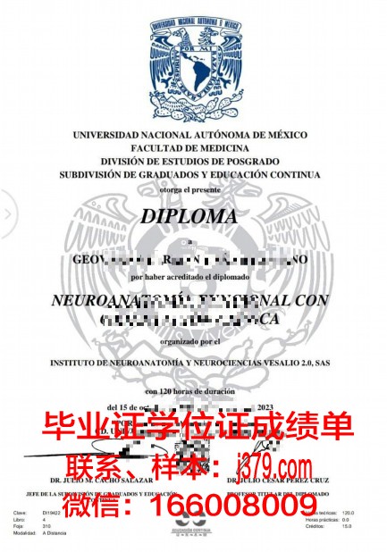墨西拿大学毕业证图片(墨西哥本科留学)