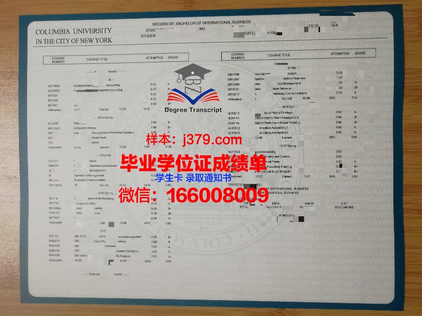 路德维希港应用技术大学成绩单：一份承载荣誉与梦想的证明