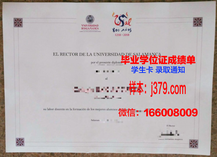 费撒巴拉政府大学学院毕业证好找工作吗(费萨拉巴德政府学院)