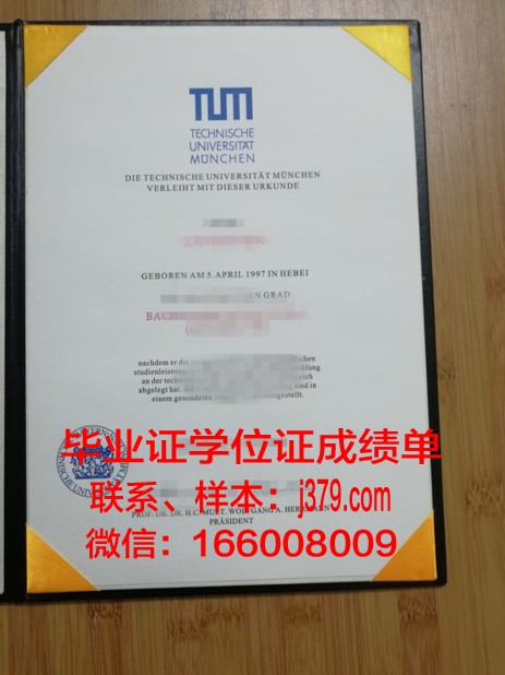 慕尼黑音乐和戏剧学院毕业证案例(慕尼黑音乐和戏剧学院怎么考)