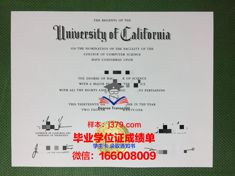 费萨大毕业证：一张纸的重量与价值