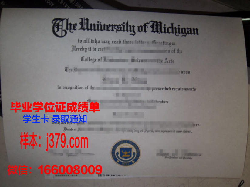 费萨大本科毕业证:跨越学术成就的里程碑
